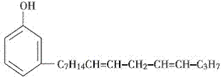 “-R基”分子结构